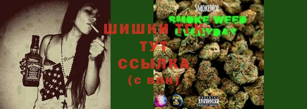 ПСИЛОЦИБИНОВЫЕ ГРИБЫ Баксан