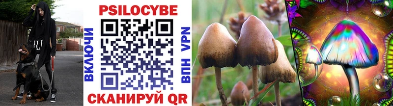 купить  сайты  Геленджик  Галлюциногенные грибы MAGIC MUSHROOMS 